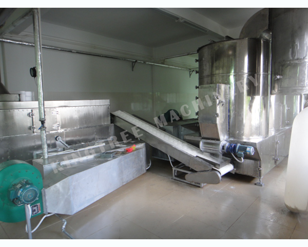 Whole Fat Desiccated Coconut Drying Machine