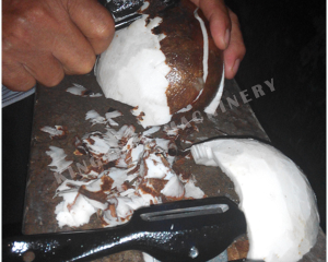 Coconut Testa Removing Machine